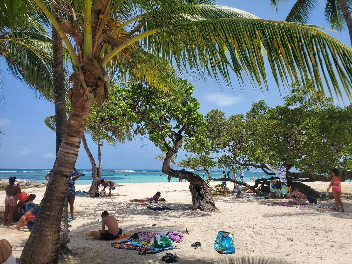 Villa L'Anjou Creole A Sainte Anne En Guadeloupe Avec Piscine Privee Et 2 Chambres Pour 4 Personnes Sainte-Anne (Grande-Terre)