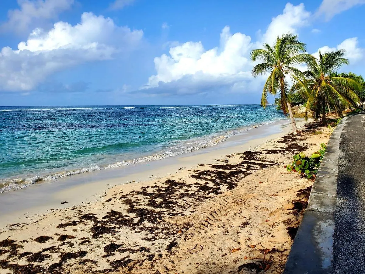 Holiday home Villa L'Anjou Creole A Sainte Anne En Guadeloupe Avec Piscine Privee Et 2 Chambres Pour 4 Personnes