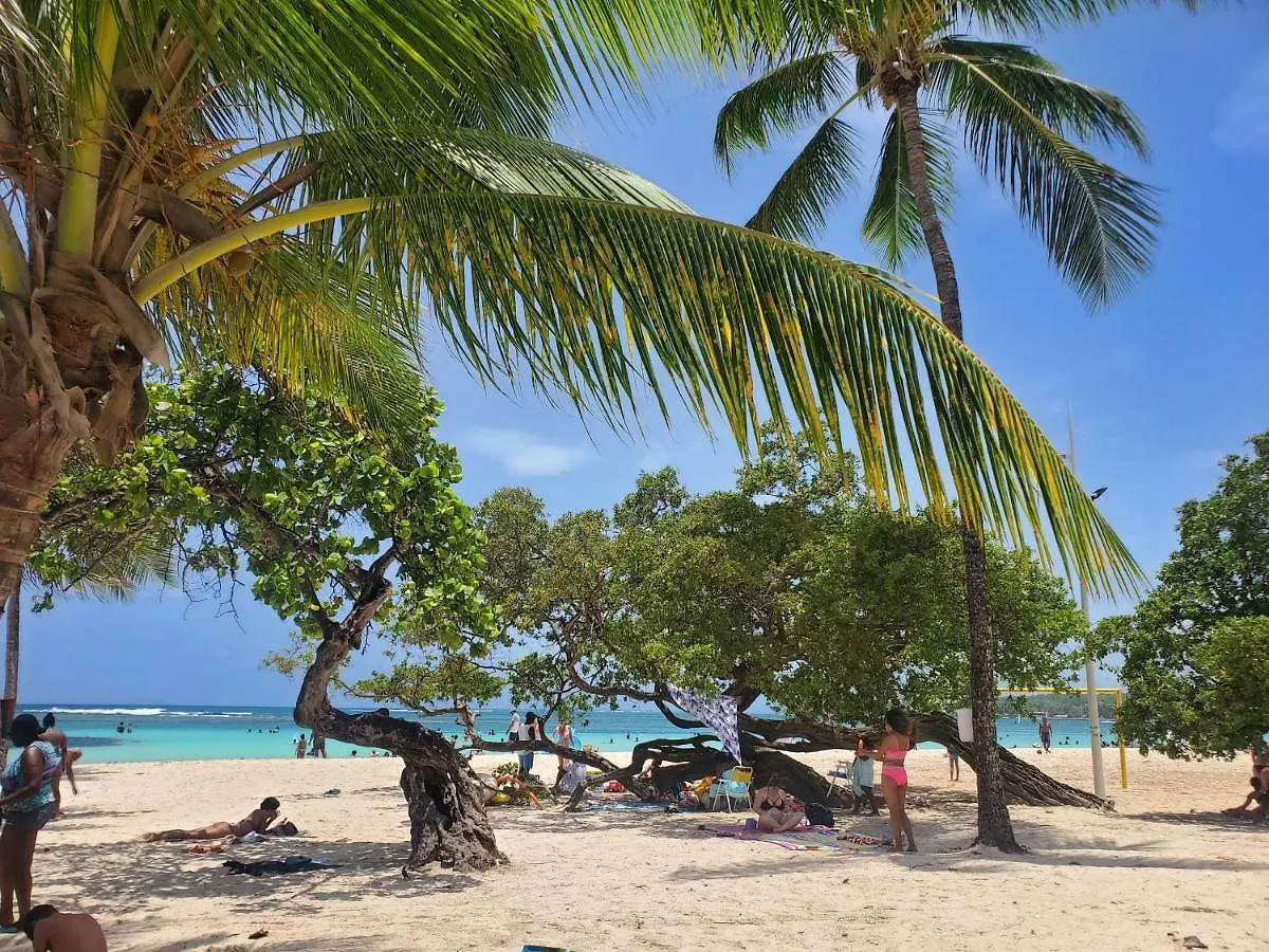 Villa L'Anjou Creole A Sainte Anne En Guadeloupe Avec Piscine Privee Et 2 Chambres Pour 4 Personnes 0*, Sainte-Anne (Grande-Terre)
