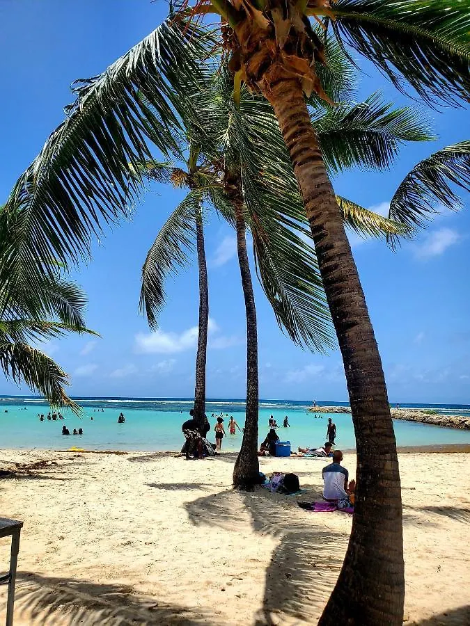 Holiday home Villa L'Anjou Creole A Sainte Anne En Guadeloupe Avec Piscine Privee Et 2 Chambres Pour 4 Personnes