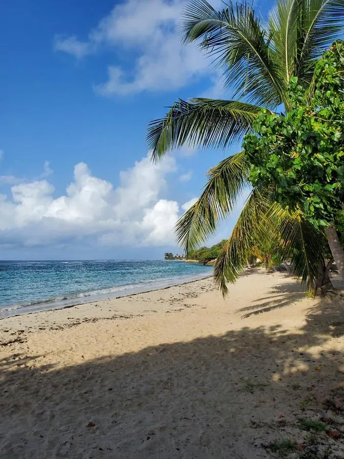 Villa L'Anjou Creole A Sainte Anne En Guadeloupe Avec Piscine Privee Et 2 Chambres Pour 4 Personnes Holiday home