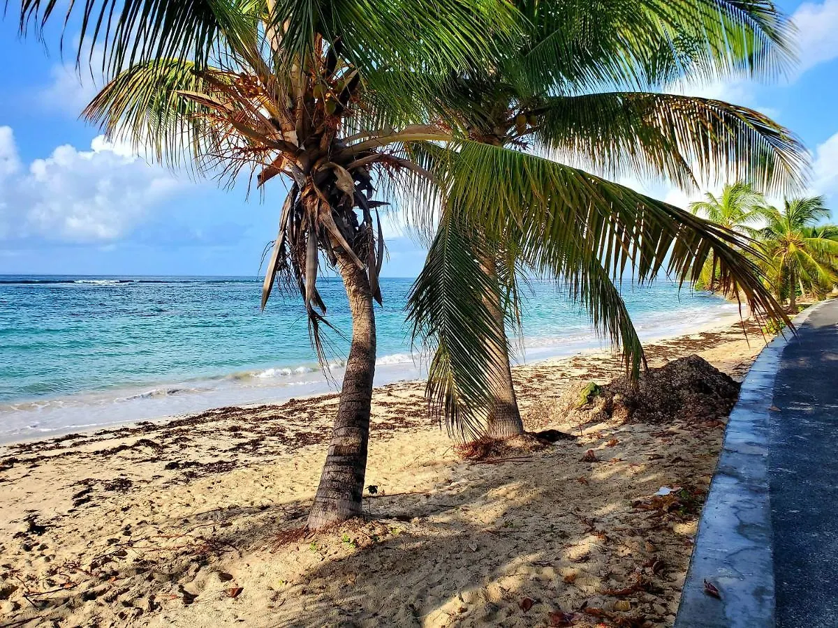 Villa L'Anjou Creole A Sainte Anne En Guadeloupe Avec Piscine Privee Et 2 Chambres Pour 4 Personnes Guadeloupe