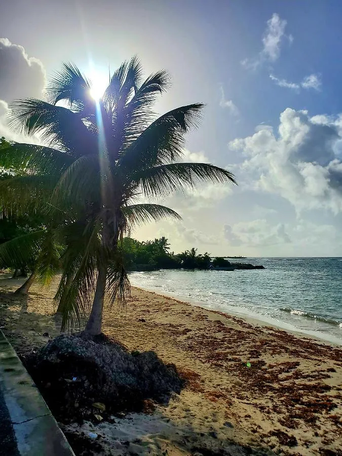 Villa L'Anjou Creole A Sainte Anne En Guadeloupe Avec Piscine Privee Et 2 Chambres Pour 4 Personnes