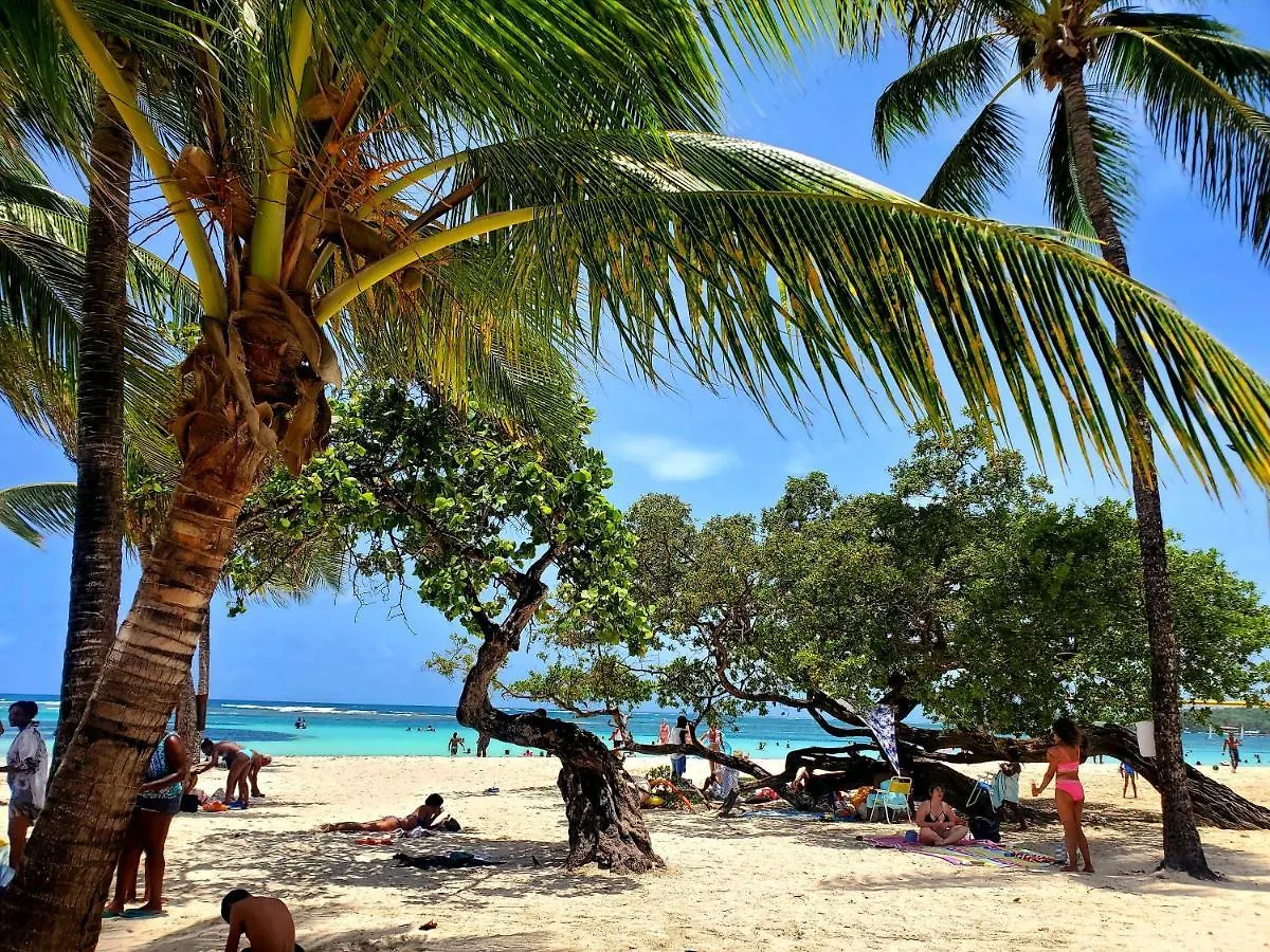 Holiday home Villa L'Anjou Creole A Sainte Anne En Guadeloupe Avec Piscine Privee Et 2 Chambres Pour 4 Personnes Guadeloupe