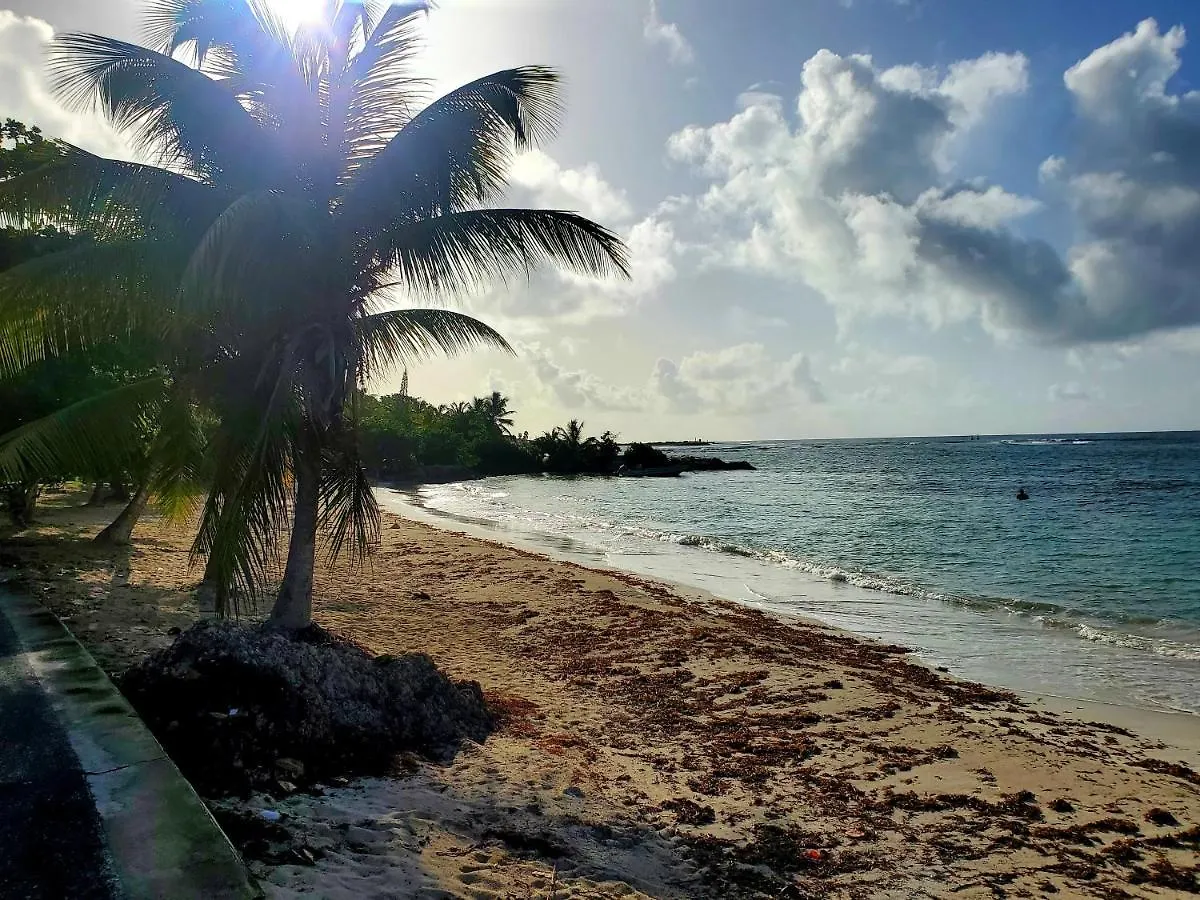 Holiday home Villa L'Anjou Creole A Sainte Anne En Guadeloupe Avec Piscine Privee Et 2 Chambres Pour 4 Personnes