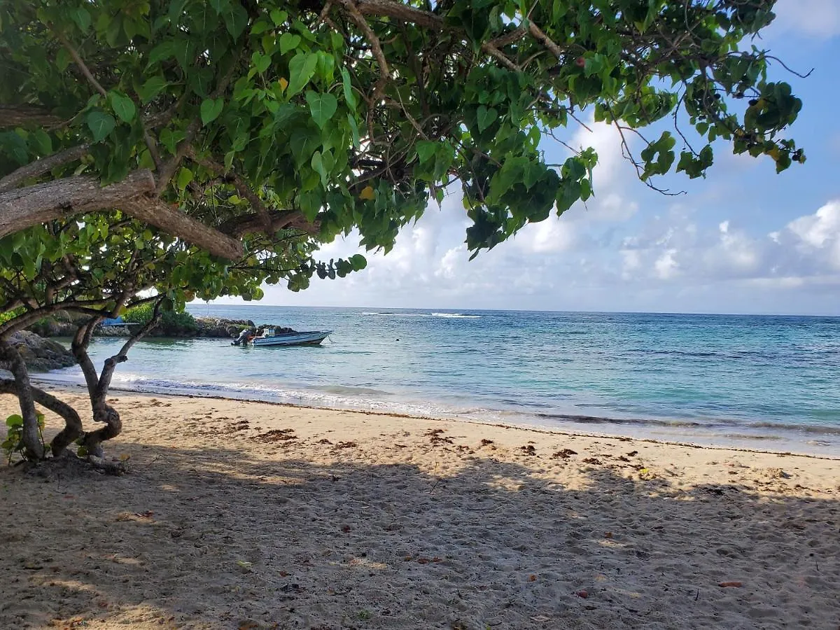 Villa L'Anjou Creole A Sainte Anne En Guadeloupe Avec Piscine Privee Et 2 Chambres Pour 4 Personnes 0*, Sainte-Anne (Grande-Terre)