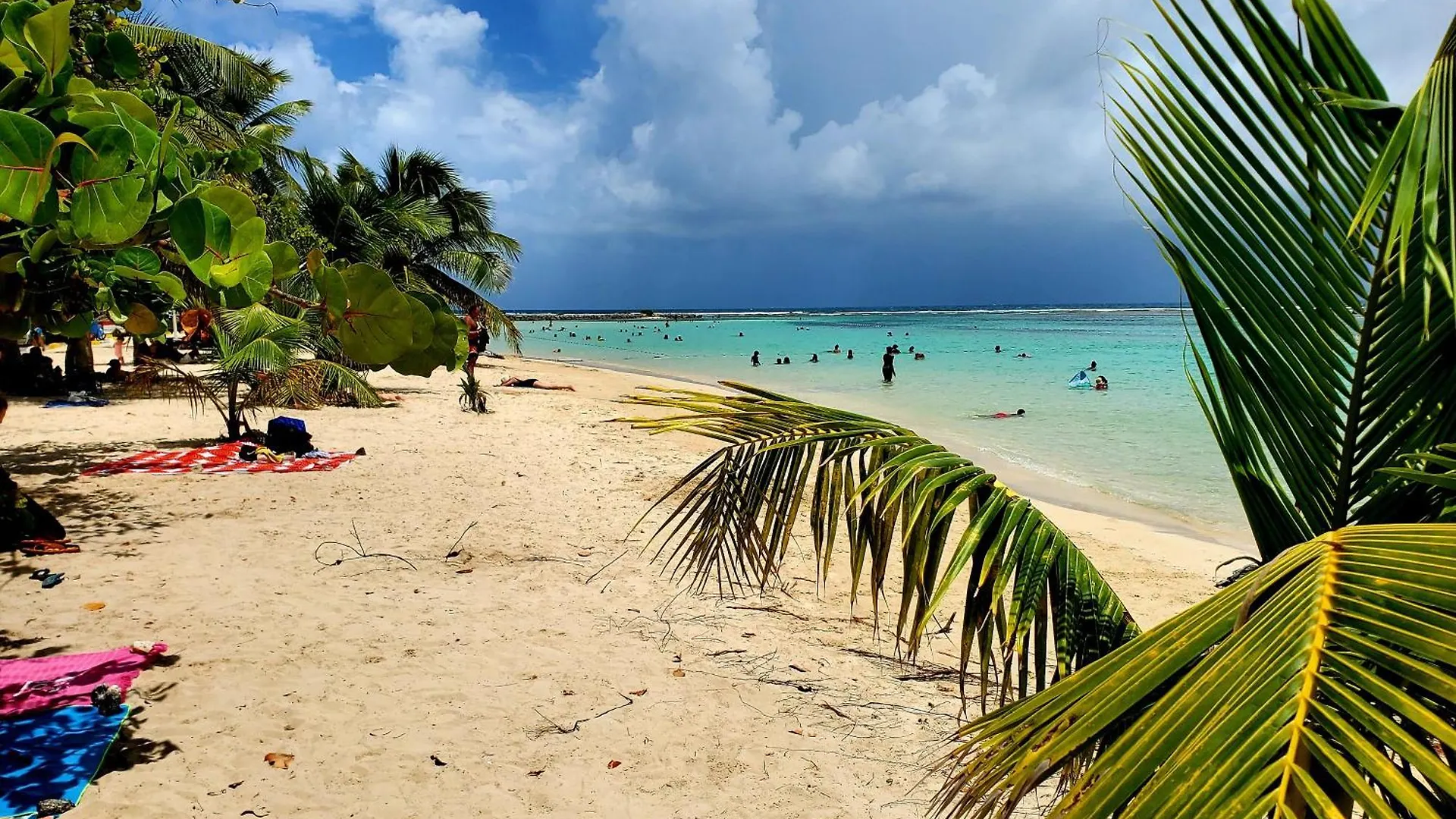 Villa L'Anjou Creole A Sainte Anne En Guadeloupe Avec Piscine Privee Et 2 Chambres Pour 4 Personnes Holiday home