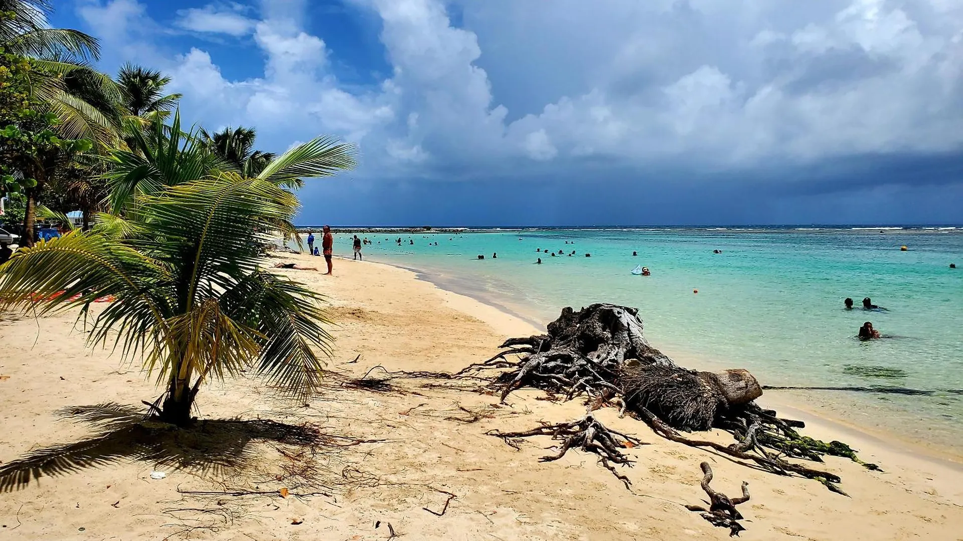 Villa L'Anjou Creole A Sainte Anne En Guadeloupe Avec Piscine Privee Et 2 Chambres Pour 4 Personnes