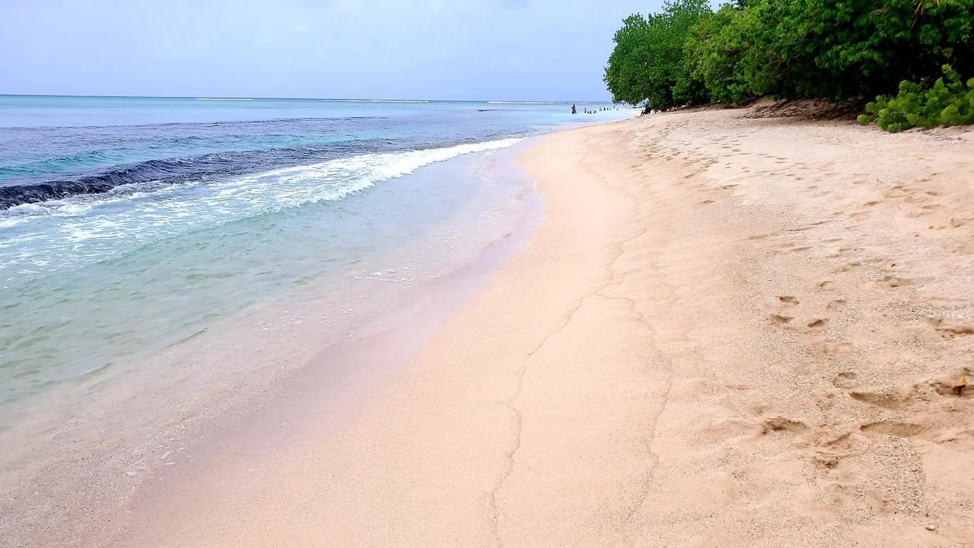 Villa L'Anjou Creole A Sainte Anne En Guadeloupe Avec Piscine Privee Et 2 Chambres Pour 4 Personnes Guadeloupe